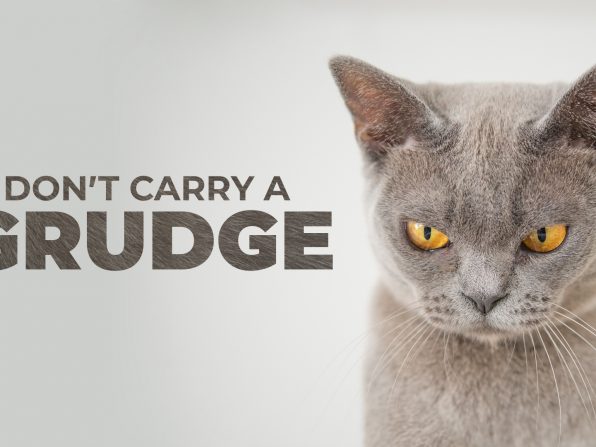 Don’t Carry a Grudge | Part 4