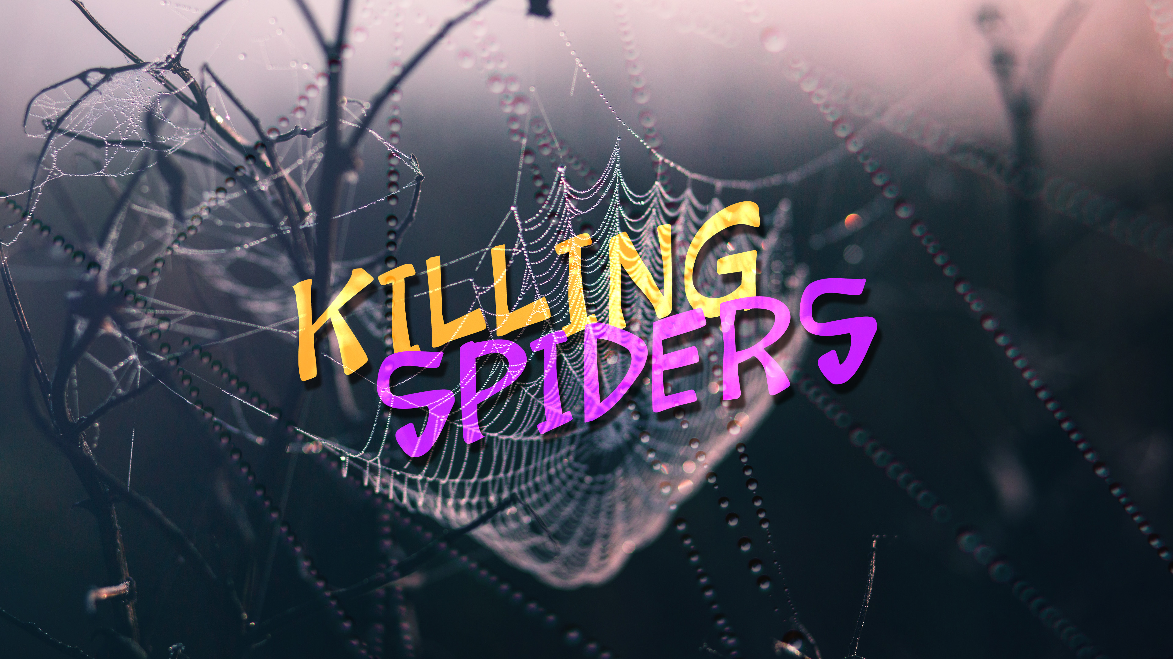 killing-spiders-new-life-church