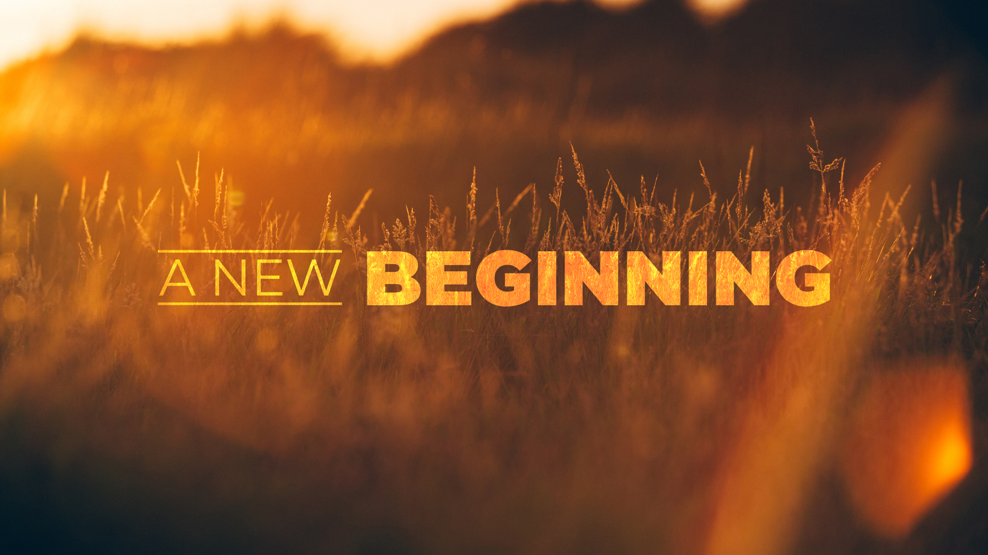 A New Beginning | Pastor Troy