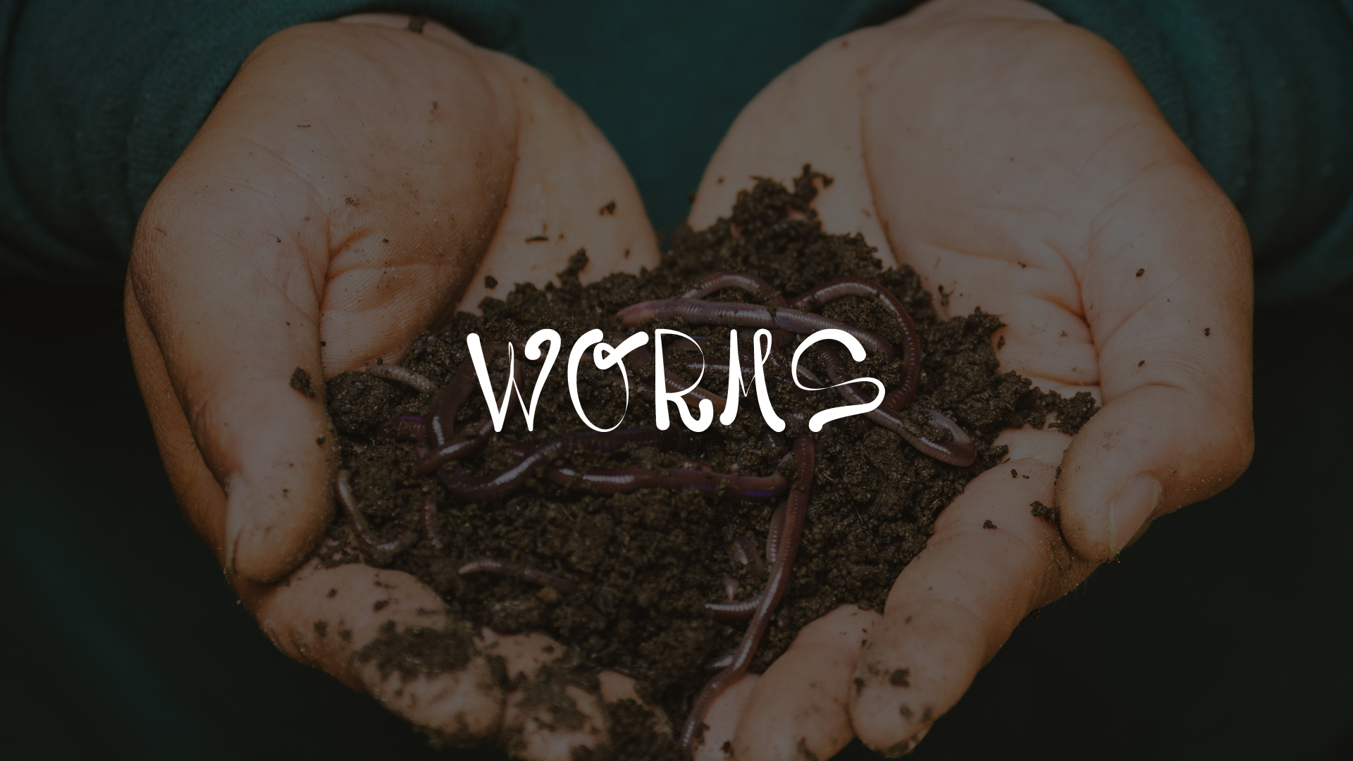 Worms | Pastor Trinity
