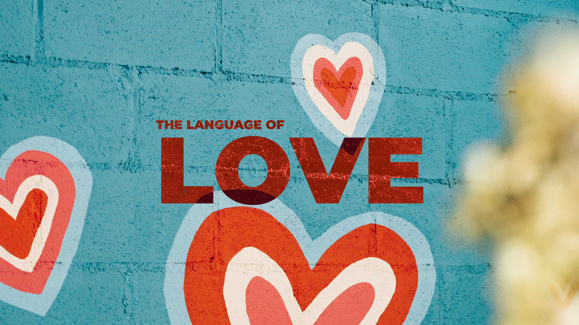 the-language-of-love-new-life-church